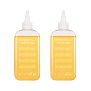 [공식] 스팀베이스 강황 쿨링 두피 워터 스케일러 모발 탈락 개선, 2개, 250ml