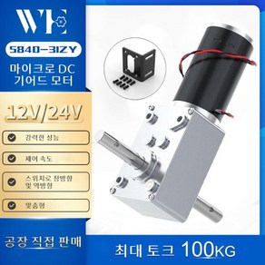 Bingsmat 더블 샤프트 DC 모터 웜 기어 높은 토크 70 KG.CM 24 볼트 모터 D 샤프트 웜 감속기 리버시블 12V, 35) 24V 27RPM - Single Moto -