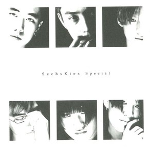 젝스키스(Sechskies) 3.5집 - Sechskies Special