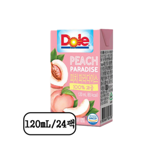 Dole 돌100% 피치 파라다이스 120ml 24팩, 24개