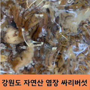 [국내산] 강원도 일대 산에서 직접 채취한 100% 자연산 참싸리버섯(염장)