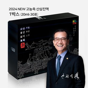 [고농축 산삼진액] 천삼정 산삼비책 스틱 / 하루 1포 고함량 진세노사이드 세트 식약처 인정원료 사용, 1박스, 600ml