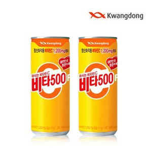 광동 비타500F 음료, 240ml, 22개