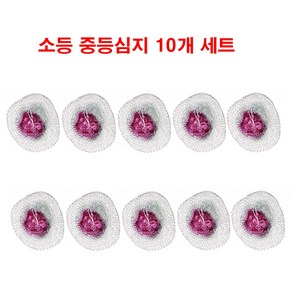 락앤아이스 소등심지 중등심지 10개 가스랜턴 캠핑 코베아, 소등심지10개