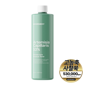 메디레머디 사철쑥53 주름개선 모이스처 토너 500ml, 1개