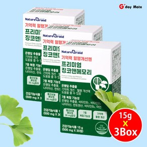 기억력 혈행개선 은행잎 추출물 혈액순환도움 징코앤메모리 50mg [그다이마잇], 3개, 30정