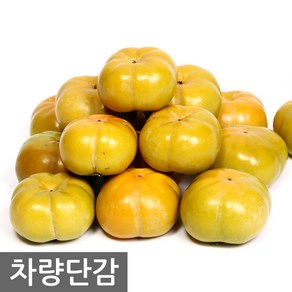 오병이어농산 전라도 단감10kg 차량단감