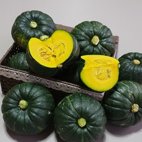[띠앗농장]제주 미니 밤호박 미니 단호박(보우짱), 3kg(5-8개), 1박스