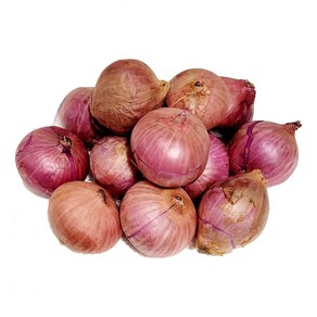 샬롯 미니양파 shallot