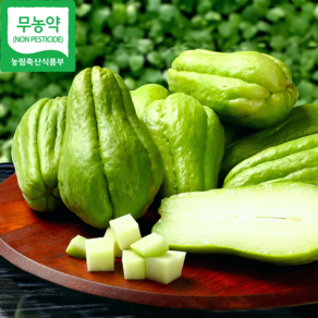 [재구매율1위] 무농약인증 달큰아삭한식감 차요테전문농장 차요테 chayote, 1세트, 2kg