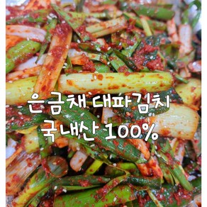 은금채 김치 전라도 대파김치 1kg, 1개