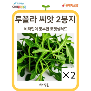 씨드림몰 루꼴라 씨앗 로켓샐러드 12g 텃밭 주말농장, 2개