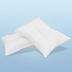 이브닝모드 1+1 경추베개솜 바른자세 향균솜, 2개, 화이트