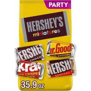 HERSHEY`S 미니어처 초콜릿 할로윈 캔디 팩, Shae Pack, 1개