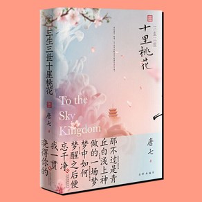 중국원서 삼생삼세십리도화 중드 소설