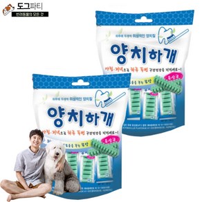 양치하개 덴탈케어 스케일링 유산균 14p 24p 강아지 양치 덴탈껌, 2개, 유산균 14p (210g)