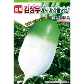 A-아시아가을저장무 12g 채소 종자, 1개