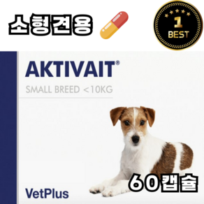 vetplus activait 소형견 용 두뇌 인지 영양제 60정, 뇌/인지, 1세트