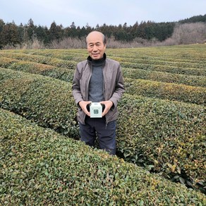 유기농 보성 녹차 티백 20개입 우전 첫물차, 유기농 녹차 티백 20개입, 1개, 1.2g