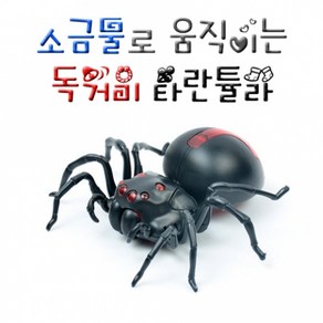 과학소금물로 움직이는 독거미 타란튤라-ZHA, 1개