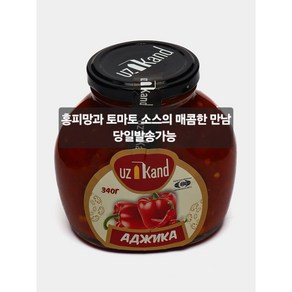 우즈칸드 아지카 홍피망&토마토 소스 340g Uzkand Azica 340g 중앙아시아 소스/아시아 소스/중앙아시아 식품/아시아 먹거리, 1개