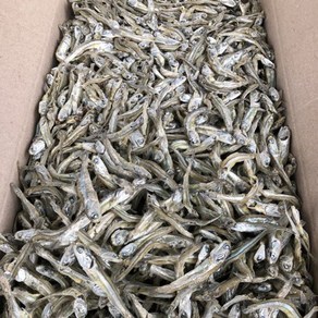 안주/조림용 햇 고바멸치(가정용) 1.5kg, 1개