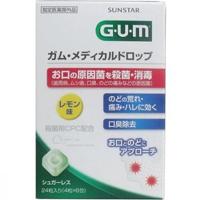 GUM 검 메디컬 치아 사탕 레몬 맛 24알, 1개