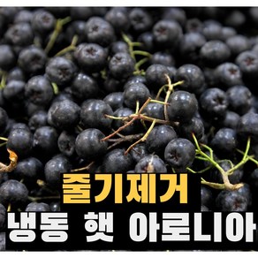 줄기제거 정읍 햇 아로니아 생과 냉동과 최상품, 1박스, 1kg