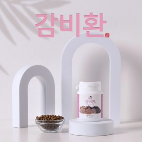 감비환(90g)