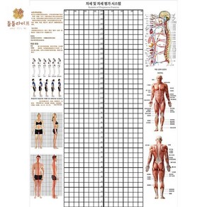 체형분석표 롤스크린 체형롤스크린 측정 평가 체형분석 체형 모눈종이