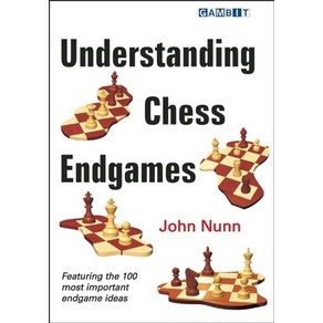 (영문도서) Undestanding Chess Endgames Papeback, Gambit Publications, English, 9781906454111