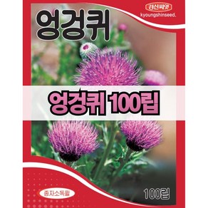 엉겅퀴 씨앗 100립 파종용 경신종묘 당일발송, 1개