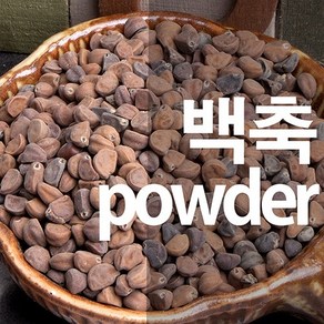 견우자분말 백축가루 나팔꽃씨앗, 100g, 1개, 1개입