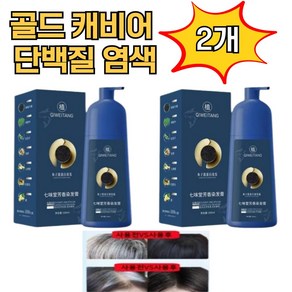 골드 캐비어 단백질 염색약 500ml 염색샴푸 새치커버 헤어손상 탈모 없는 염색, 검은블랙, 2개