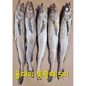 [설악 황태] 통황태 용대리 통황태 5미 (용대리 직송) 국내 자연 건조 통황태 5마리, 특 (40 ~ 42cm), 1개