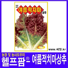 헬프팜 여름적치마 3000립 상추 종자 씨앗 아시아종묘, 1개