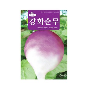 (CN) 강화순무 씨앗 (2000립), 1개