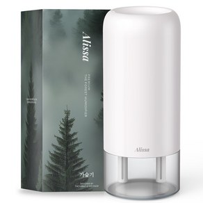 알리사 숲속안개 가습기 미니 초음파 사무용 무선 탁상용 충전식 700ml + 필터 4개, 화이트