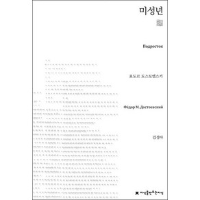 미성년, 지식을만드는지식, 표도르 도스토옙스키 저/김정아 역