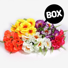 BOX판매 수련 12개 성묘 산소 꽃 납골당 조화, 수련 크림(12개) BOX