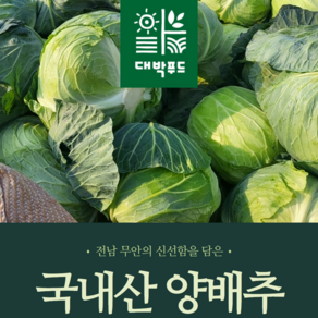 [대박푸드] 국내산 무안 양배추 (2kg 3kg 6kg) 이내 깐양배추 (1개 2개 3개), 2kg, 3개, 2kg이내