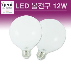 GENI LED 볼전구 12W G95