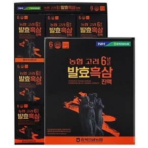 충북인삼농협 고려 6년근 발효흑삼 진액 70mlx30포 2BOX, 70ml, 60개