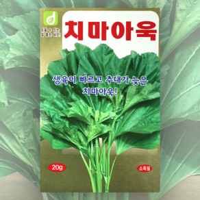 치마아욱씨앗 20g 한국대농종묘 아욱종자 주말농장, 1개