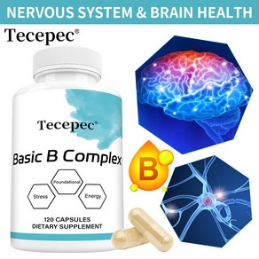 Tecepec Essential B Complex - 콜린이 함유된 비타민 B 복합 보충제 - 세포 에너지 생성 뇌 건강 및 적혈구 형성 지원 - 글루텐 프리 유제품 프리, 60캡슐, 1개, 120정