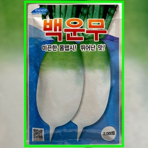 김장무 백운무 가을 무씨앗 2000립 무씨 종자