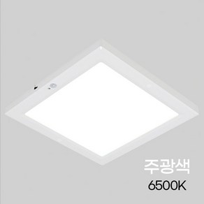 비츠온 LED 엣지 사각 센서등 10인치 20W, 주광색, 1세트