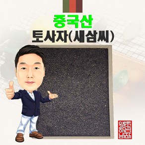 중국산 토사자 100g (경북 영천) 수입산 수입, 1개