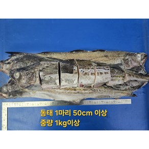 진짜 신선하고 진짜 큰 왕 동태 50CM이상 4마리 + 명태곤이450G /명태/동태5통