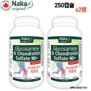 소연골 콘드로이친 1200mg 글루코사민 1500mg 250캡슐 하루 3캡슐 나카 글루코사민 콘드로이틴 2병, 250정, 2개